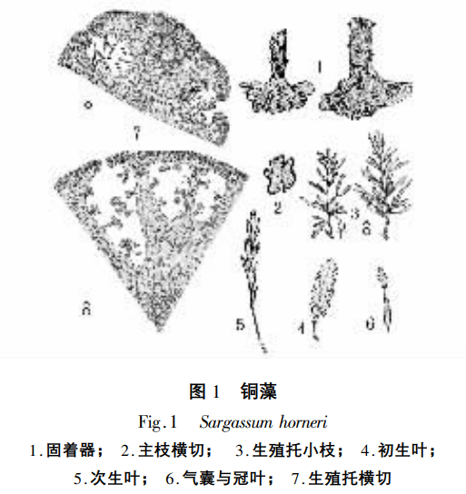 647da9e5314e9.png 647da9e5314e9.png