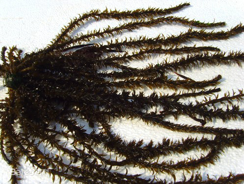 647e7cfe0e1d0.jpg 647e7cfe0e1d0.jpg