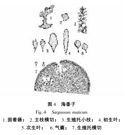 647e80b8e9cda.png 647e80b8e9cda.png