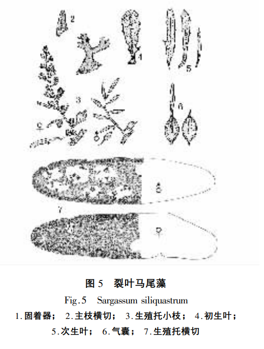 647e81204f187.png 647e81204f187.png