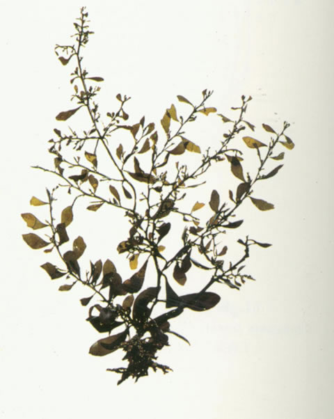 647e898c6e5d0.jpg 647e898c6e5d0.jpg