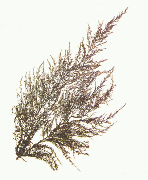 647e89ae9048c.jpg 647e89ae9048c.jpg