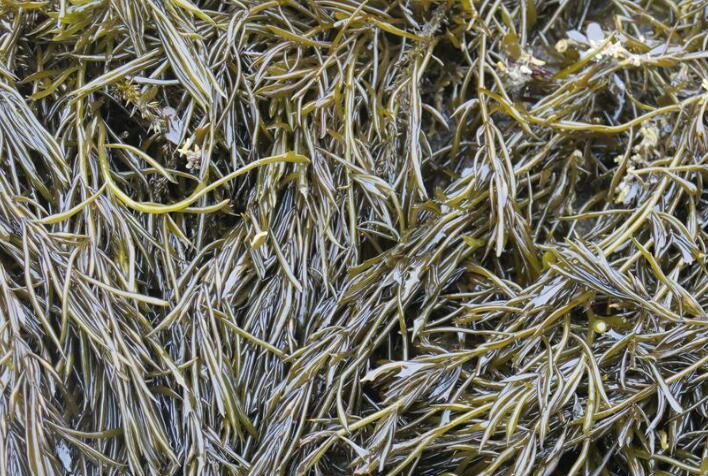 647ec6d756098.png 647ec6d756098.png