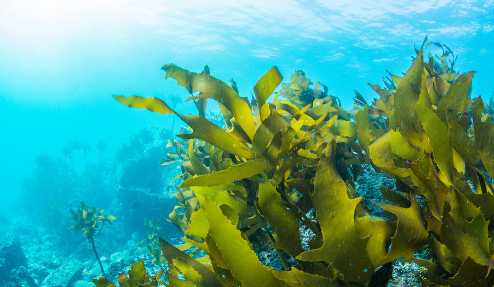 64b4a05356df5.jpg 64b4a05356df5.jpg