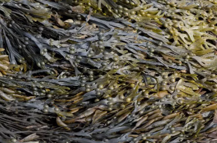 64b4a0bfd2afe.png 64b4a0bfd2afe.png