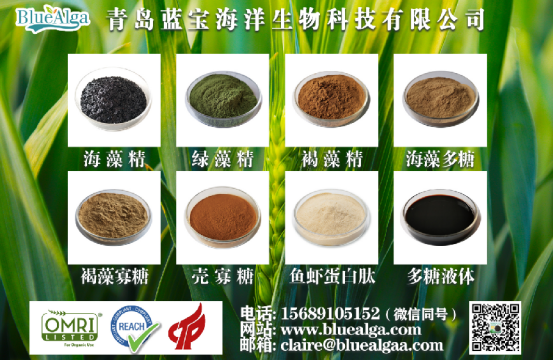 64b4afe831b71.png 64b4afe831b71.png