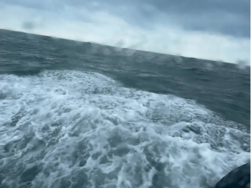 64be3d4943158.png image.png