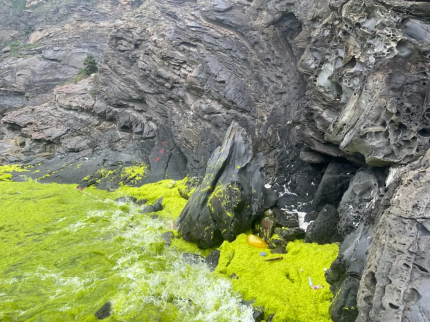 64be3e4a7cc28.png 64be3e4a7cc28.png