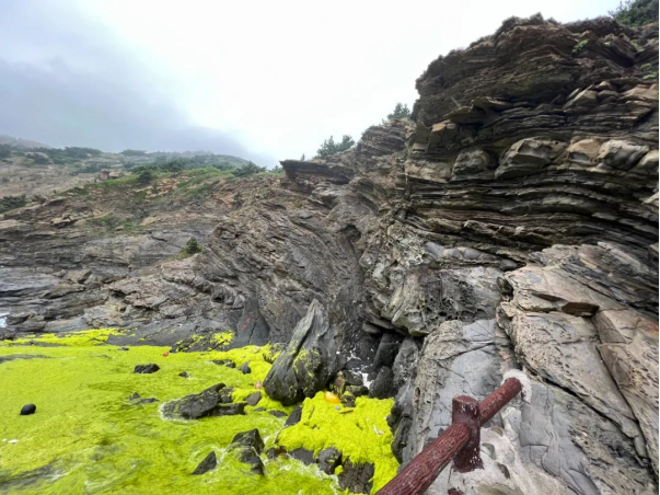 64be3ee4d9281.png 64be3ee4d9281.png