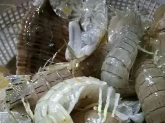 64be3f8ebd026.png 64be3f8ebd026.png