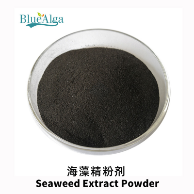 650d4bab18b77.png image.png