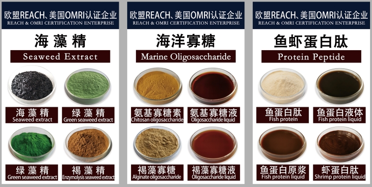 656543fc707c4.png 656543fc707c4.png