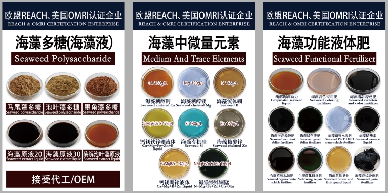 656544005d291.png 656544005d291.png