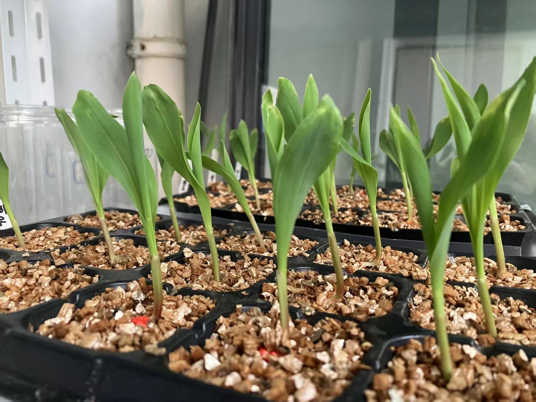 686de341553ca.jpg 6850fee44ab12.jpg