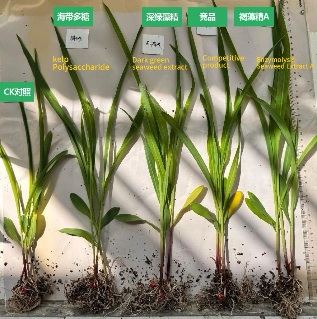 686e2b2071dcc.jpg 68510091dd477.jpg