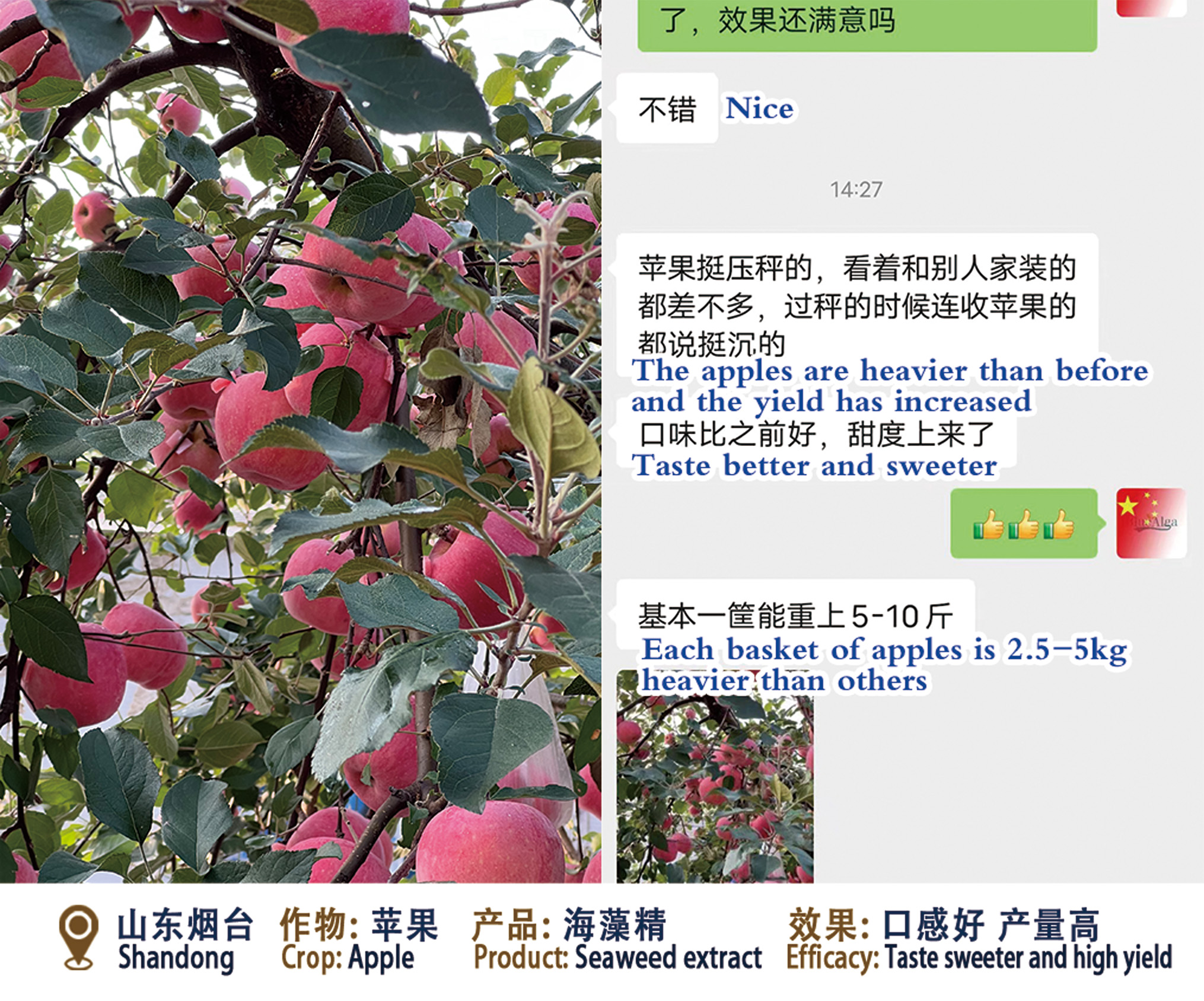 6875a5f14e737.jpg 22.jpg