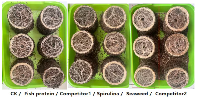 689163832942f.png 4db5a7c2-227b-4f1a-ae1e-9d61779affc7.png