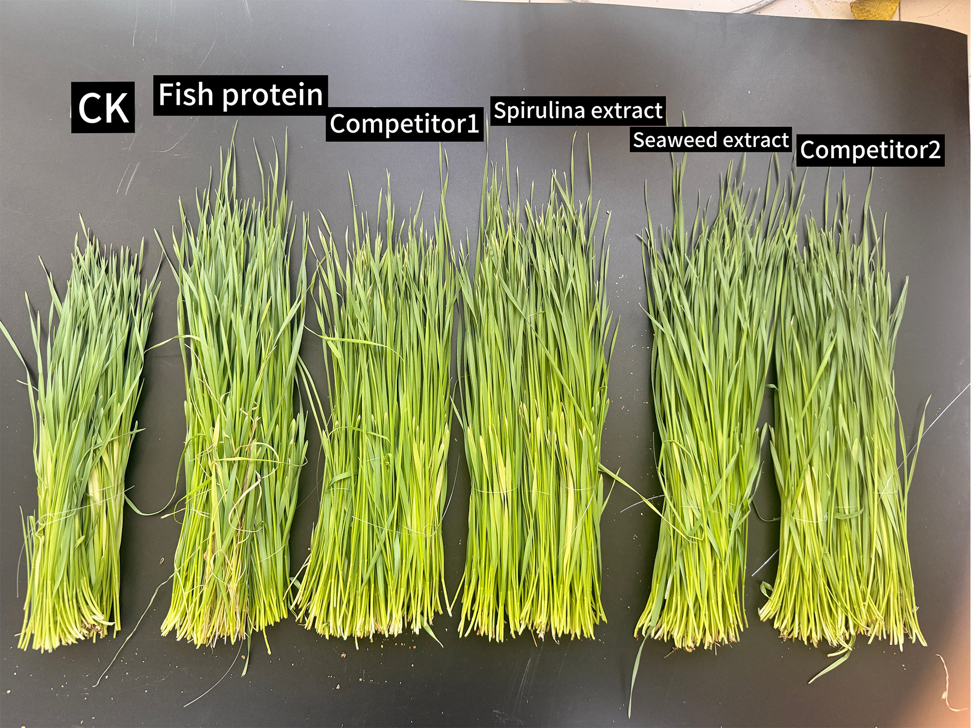 689163e844fd0.jpg 65f5f7144e651085595dca5e3b8cbb81.jpg